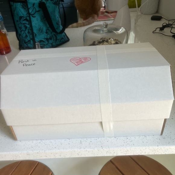 It’s been 1 year Farewell My Love, my best friend of 20yr s - Picture 4 of 9